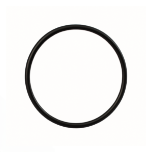 Big Blue Housing O-Ring