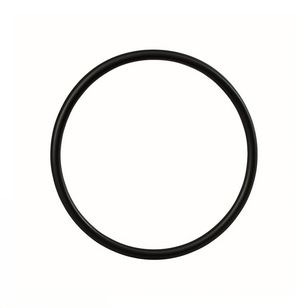 O-RING for Slim Line Housing and Rainfresh (151121)